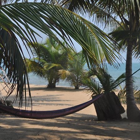 Sabal Beach Hotel Monkey River Town Eksteriør billede