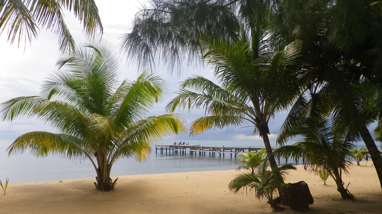 Sabal Beach Hotel Monkey River Town Eksteriør billede