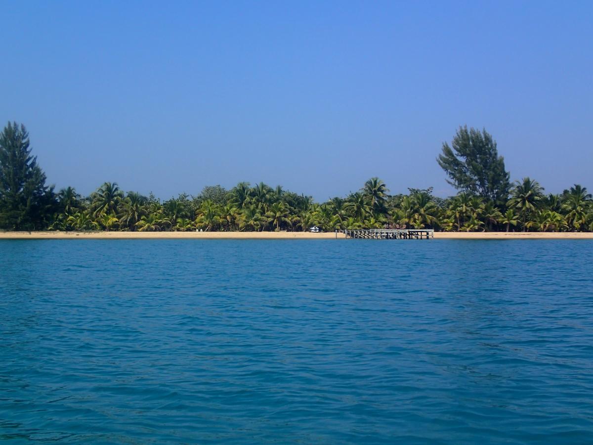 Sabal Beach Hotel Monkey River Town Eksteriør billede
